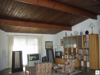 807 Oakey Living Room Ceiling