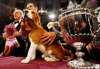 080212-dog-show-hmed-825p_h2 Shannon Stapleton - Reuters